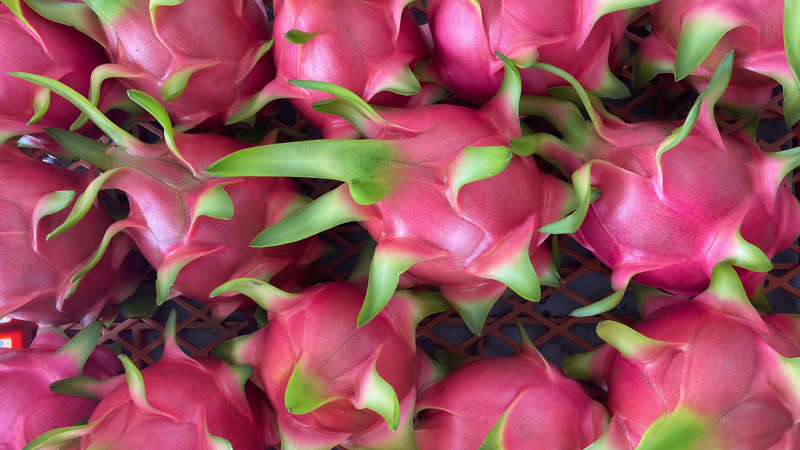 Dragon Fruit